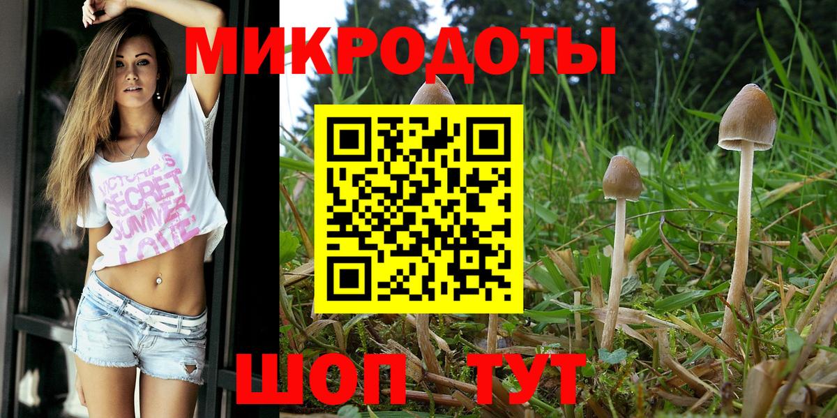 Галлюциногенные грибы мухоморы  Вход с VPN  где можно купить   Изобильный 