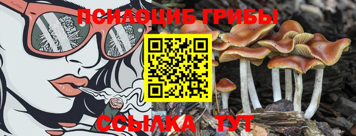 Альфа ПВП СОЛЬ   ГАШИШ  МЕТАДОН  COCAIN  Вход с VPN  Амфетамин кристаллы  Изобильный  Канабис  Вейп ТГК  Меф кристаллы  Экстази 