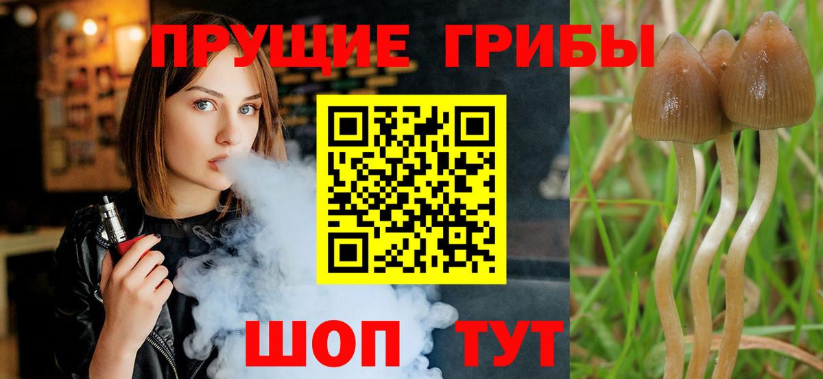 Псилоцибиновые грибы мицелий Изобильный